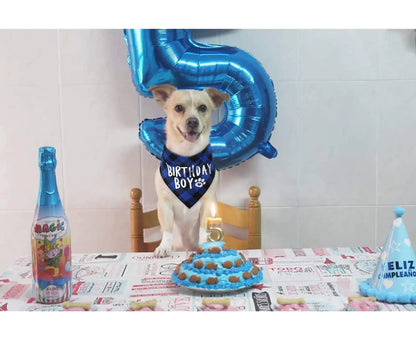 Dog Birthday Boy Bandana