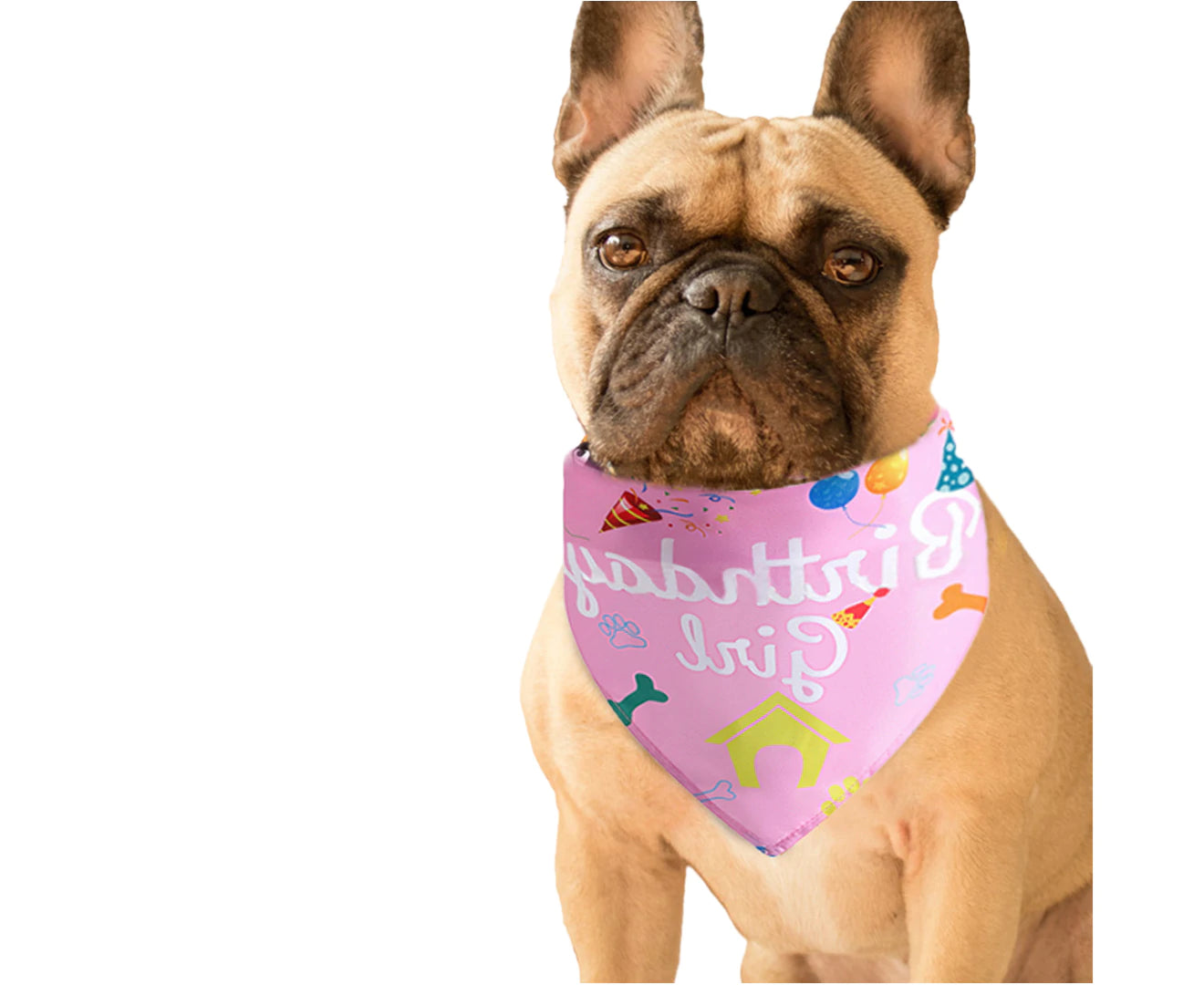 Pet Triangle Bib Happy Birthday Print Holiday Dress-Up Fabric Fashion Pet Dogs Kitten Bandana for Birthday Party Pink