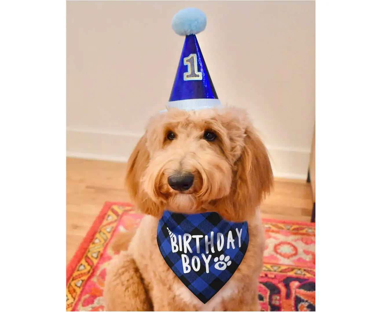 Dog Birthday Boy Bandana